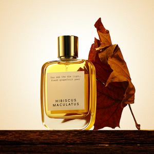 Nước Hoa Sang Trọng Rõ Ràng Độc Đáo Phẳng Nước Hoa Chai Nước Hoa Vuông Chai Tùy Chỉnh 50Ml 100Ml Nước Hoa Chai Với Hộp Bao Bì - Product Image 2