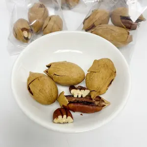 Wholesale High Quality Freshly Processed China Dried Pecan Nuts With Shell