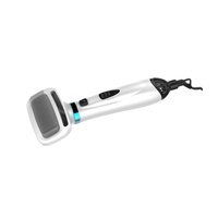 Sèche-cheveux 2 en 1 brosse de toilettage pour animaux de compagnie température réglable sèche-cheveux pour chien épilateur pour animaux de compagnie brosse pour chien chat