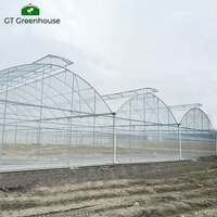 Serre en plastique multi-spans de grande taille pour l'agriculture commerciale, cadre métallique, serre extérieure GT