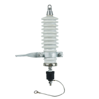 Parafoudre sans interstice en polymère composite de caoutchouc silicone YH10WS-17/50 haute tension 33KV 100KA pour mise à la terre contre la foudre