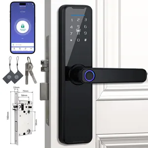 Wholesale New Product Promotion Price Tuya WiFi Home Biometric Bingerprint / Password / Key / Electronic Smart Door Lock