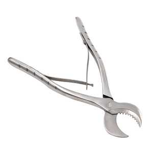 Forbici in Acciaio Inox per Acquario di Barriera Corallina 16/20cm, Accessori per Taglio Coralli Naturali - Product Image 3