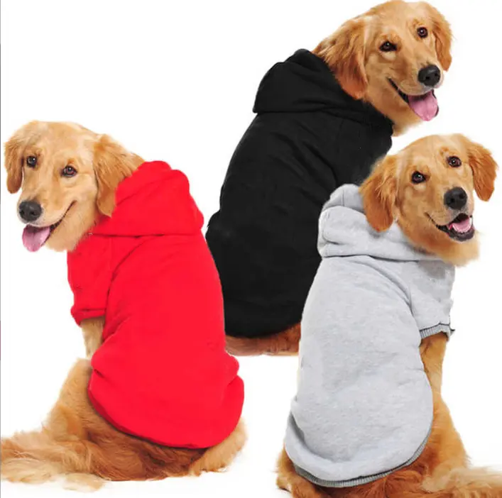 Dog clothes store
