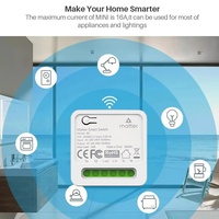 Modul Sakelar Pintar SLS Matter 16A 1 Gang dengan Kontrol Suara HomeKit Alexa Google, Kontrol Aplikasi, dan Wi-Fi untuk Otomatisasi Rumah