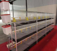 Meilleur Prix Équipement Avicole Automatique Cage Batterie pour Poules Pondeuses avec Tôles Abri Poulailler 3 Niveaux 2 Maisons à Poulets 68