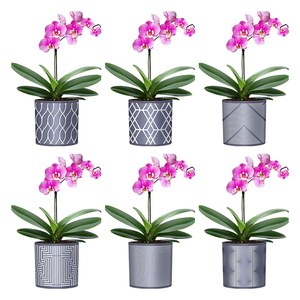 Planta Artificial YICAI, Bonsái de Imitación con Patrón de Cemento, con Maceta de Plástico, <span class=keywords><strong>Macetas</strong></span> de Planta Artificial - Product Image 2