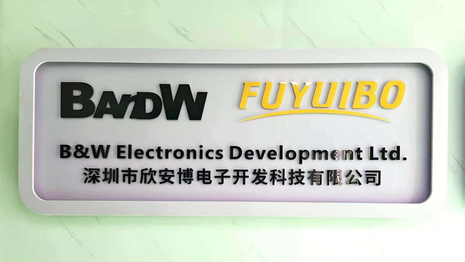 B&W ELECTRONICS DEVELOPMENT LIMITED logo