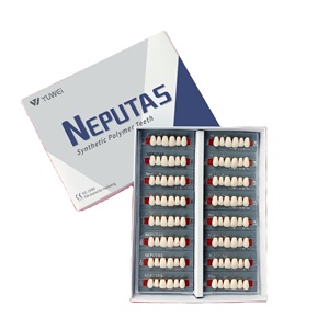 Dientes Acrílicos Neputas para Dentaduras Postizas, Resina Polimérica, Dientes Postizos de Plástico, VTTA A1 B1 <span class=keywords><strong>A2</strong></span> <span class=keywords><strong>B2</strong></span> - Product Image 3