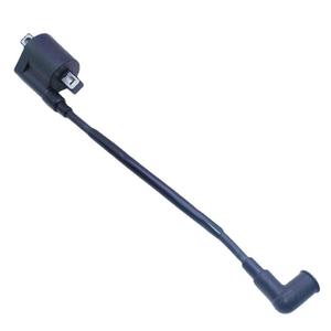 Bobine haute tension pour moteur hors-bord Tohatsu 369-06050-2 pour moteur 2 temps 4 5 CV, pièce de rechange - Product Image 4