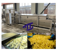 Ligne de production entièrement automatique de frites-Machine de traitement de frites et de croustilles surgelées à petite échelle