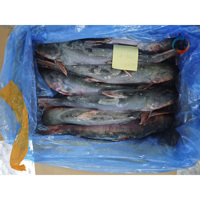 Pangasius Seafood Vietnam Basa Catfish Swai Poisson Entier Congelé en Gros pour le Commerce