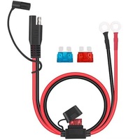 Cable Conector Solar Aislado con PVC XLPE de 12AWG 4mm2, Macho/Hembra, de Una Sola Punta, para Estaciones de Almacenamiento de Energía Móviles en Exteriores