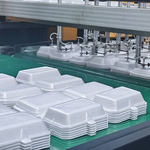 PS espuma thermocol bandeja de absorción de agua/placa/máquina para hacer platos - Product Image 2