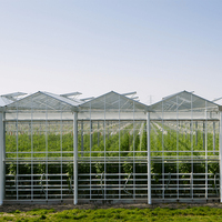 Plante automatisée serre hydroponique mur de verre système d'automatisation serre en verre pour tomate fraise