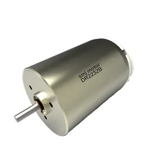 22mm diameter brushed dc electric motors for cars with NSK ball screws