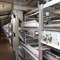 Cage d'élevage de poulet de couche de collecte d'oeufs de type H automatique de haute qualité avec garantie de satisfaction à distance en gros