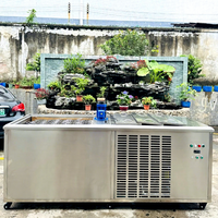 Magasin d'alimentation professionnel 300Kg 500Kg 1000Kg grand bloc de glace faisant la machine 100 Kg bloc