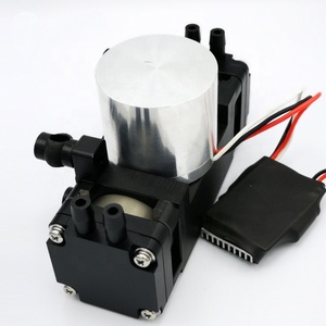 DC Dual sin escobillas Motor de aire pequeño/bombas de Gas 24 V de vacío de diafragma de toro de la bomba - Product Image 2