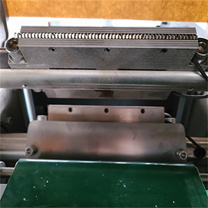 Machine d'emballage sous vide automatique personnalisée <span class=keywords><strong>en</strong></span> vente MC-100 poisson légume Machine d'emballage d'oreiller <span class=keywords><strong>de</strong></span> carte <span class=keywords><strong>de</strong></span> jeu à collectionner - Product Image 6