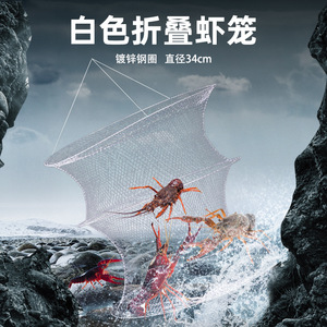 Piège à crevettes blanc pliable de 32 cm de diamètre pour la pêche en eau douce, piège à carpes crucianes - Product Image 5