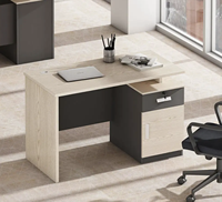 Bureau de direction moderne pour petit bureau à domicile, table d'ordinateur avec panneau en bois, style bureau en bois