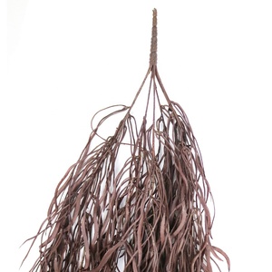 120cm de largo colgante de algas artificiales para decoración de pared colgante de algas de imitación - Product Image 2