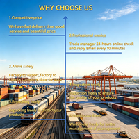 Agent d'expédition aérienne express porte-à-porte DDP le moins cher pour la poudre et les liquides de batterie, de Shenzhen (DHL, FedEx, UPS) à Gothenburg, Suède