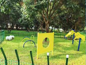 Equipo de entrenamiento para perros, duradero, seguro, reutilizable, ideal para paseos al aire libre, parque para perros - Product Image 3