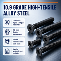 Vis à tête fraisée hexagonale noircie de grade 10.9 M2/M3/M4/M5, vis à tête plate M6/M8/M10/M12 métriques
