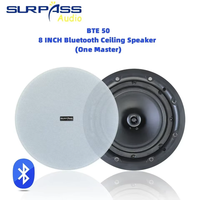 BTE504 8" Frameless Magnetic Grill Coaxial Active Ceiling One Main Speaker with Bluetooth 5.1 & D Class Amplifierd Music