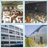 Ventilation de poulailler 50 pouces 1380 Ventilateur de ventilation avicole mural à flux axial industriel Extracteur d'air chaud pour élevages