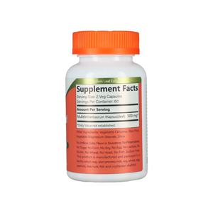 Suplemento de Hoja de Gordolobo de Alta Calidad, Aumenta la Función Inmunitaria, Suplemento de 500 mg, Cápsulas de Extractos de Hoja de Gordolobo - Product Image 6