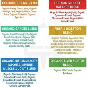 Süper yeşil Superfood tozu Premium Superfood 20 + organik yeşil sebze bütün gıdalar - Product Image 6