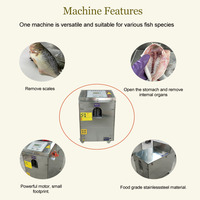 Machine à éviscérer et à détartrer le poisson Filet de tilapia automatique Coupe de bar Tuer la carpe Machine à refendre Machine viscérale