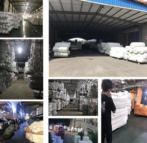 Nuevo Tejido de Peluche de Pelo de Conejo Arcoíris 2021, 100% Poliéster, Alta Calidad, Precio al por Mayor, para Juguetes y Prendas, con Reverso de Punto - Product Image 6