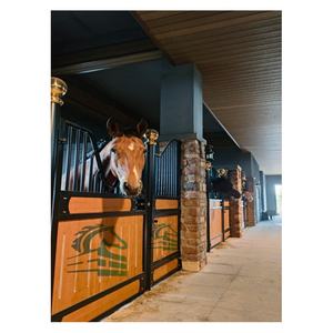 اسطبلات خشبية جديدة ومعملة للبيع للمزارع ، معدات كشك حصان بحالة جديدة ، معدات حظيرة حصان ، تشمل حظيرة حصان - Product Image 1