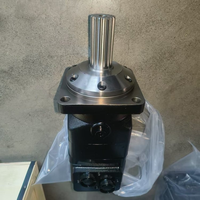 Moteurs hydrauliques OMT Série OMTS OMTS315 151B3039 OMT250 151B3020 OMTS200 151B3037 OMT400HD 11022237 Moteur orbital