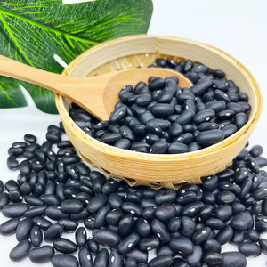 Fagioli Neri Piccoli in Offerta, Esportazione di Fagioli Neri Piccoli - Product Image 4