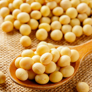 Sauce soja noire fraîche biologique certifiée Halal qualité supérieure Sauce soja fermentée artisanale traditionnelle Sauce soja authentique Halal - Product Image 4