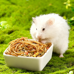 Vers de farine séchés riches en protéines, nourriture naturelle pour animaux et poissons, sans céréales, emballés dans un sac - Product Image 1