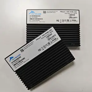 Pblaze7 7940 u.2 PCIe 5.0 NVMe 2.0 3.2t 4t PC máy chủ và công việc trạm doanh nghiệp SSD