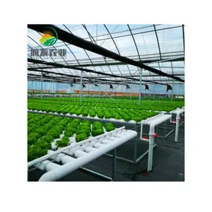 Pipa PVC Hidroponik Pertanian Akuaponik Rumah Kaca 100X50 Mm Sistem Penumbuh Selada NFT Sistem Saluran