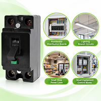 Sakelar Pengaman Hitam JIELI AC 230V Miniature Circuit Breaker 10A 16A 25A 32A Bersertifikasi IEC Pelindung Beban Berlebih 2P 1.5KA 50/60Hz