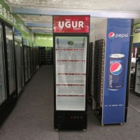Réfrigérateur commercial à porte simple de 268 L, vitrine réfrigérée avec porte en verre et serrure pour magasin de proximité, refroidisseur vertical de boissons