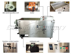 Machine de tri des vers de farine machine de séparation des vers de farine machine de séparation tenebrio molitor sans poussière - Product Image 3