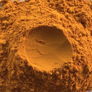 ผงขมิ้นออร์แกนิกพรีเมี่ยม (5% เคอร์คูมิน) ปลอดสารเคมีปราศจากสารเคมีการบดละเอียดผ่านการรับรองมาตรฐาน USDA บริสุทธิ์100% ต้นกำเนิดของอินเดีย - Product Image 1