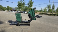 Mini-Dumper Raupenlader Robust Langlebig Kraftstoffsparend Briggs&Stratton Vanguard Motor Eaton Hydraulikpumpe Hohe Nutzlast