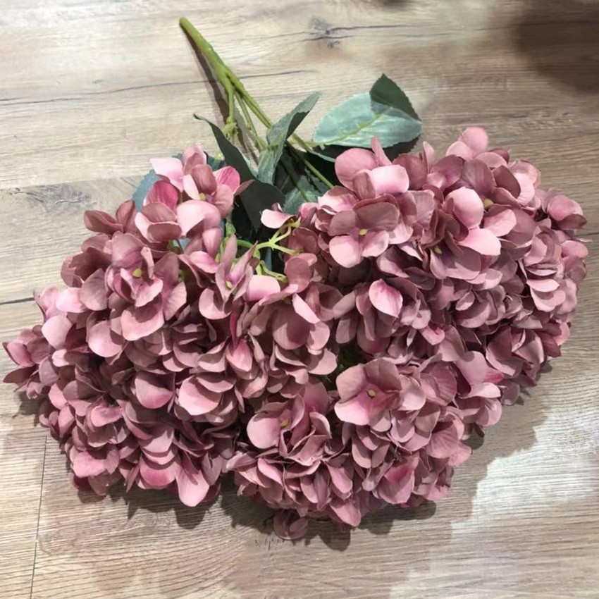 5 têtes de pâte d'hortensia français