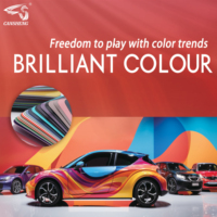 Película de cambio de color de TPU Envoltura de vinilo de color TPU Mint Creen Car Body Scratch Anti Paint Protect Film